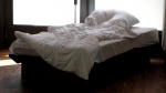 Die 12 Grundformen des verlassenen Bettes